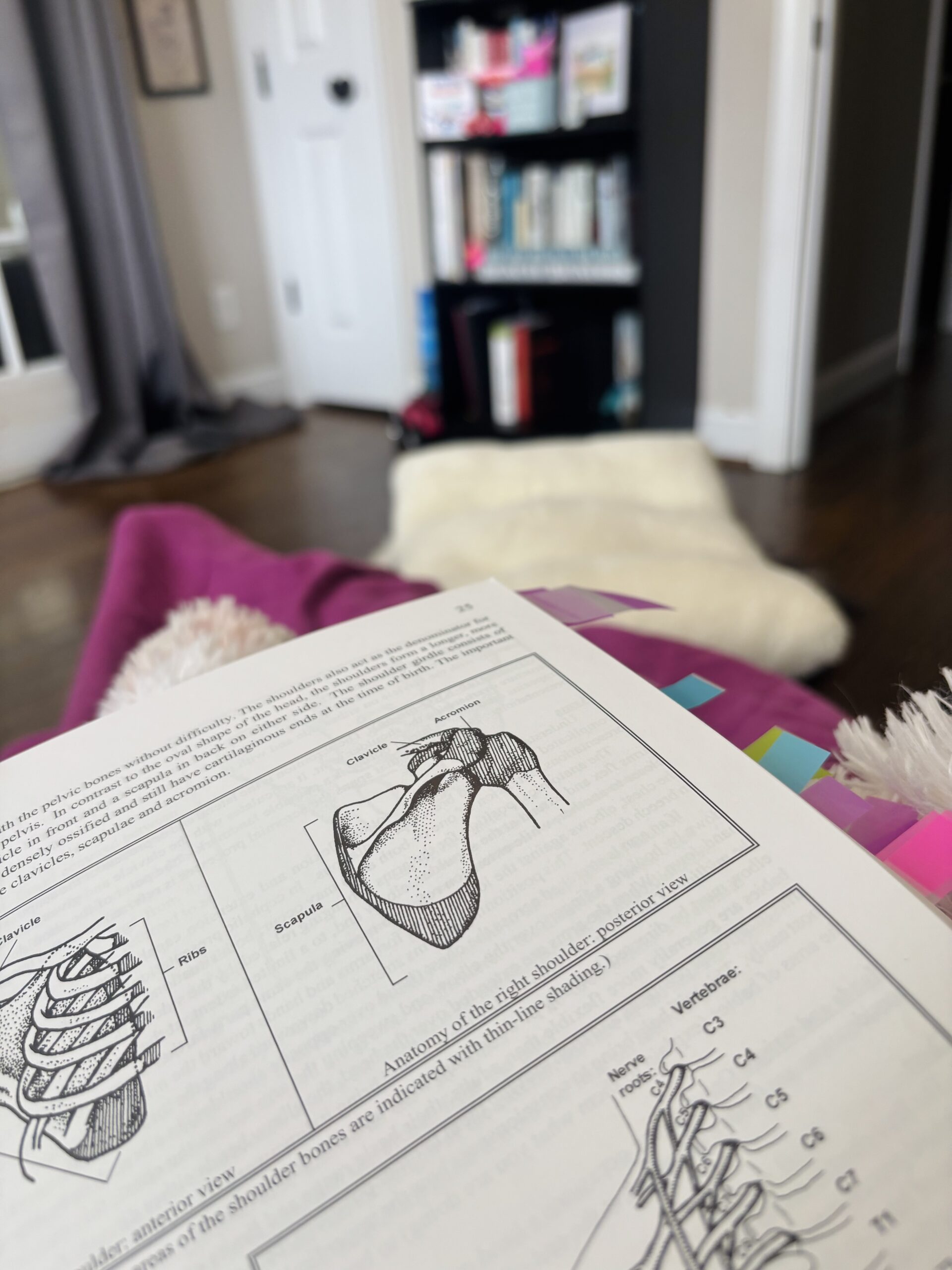 A Note From the Holiday Break